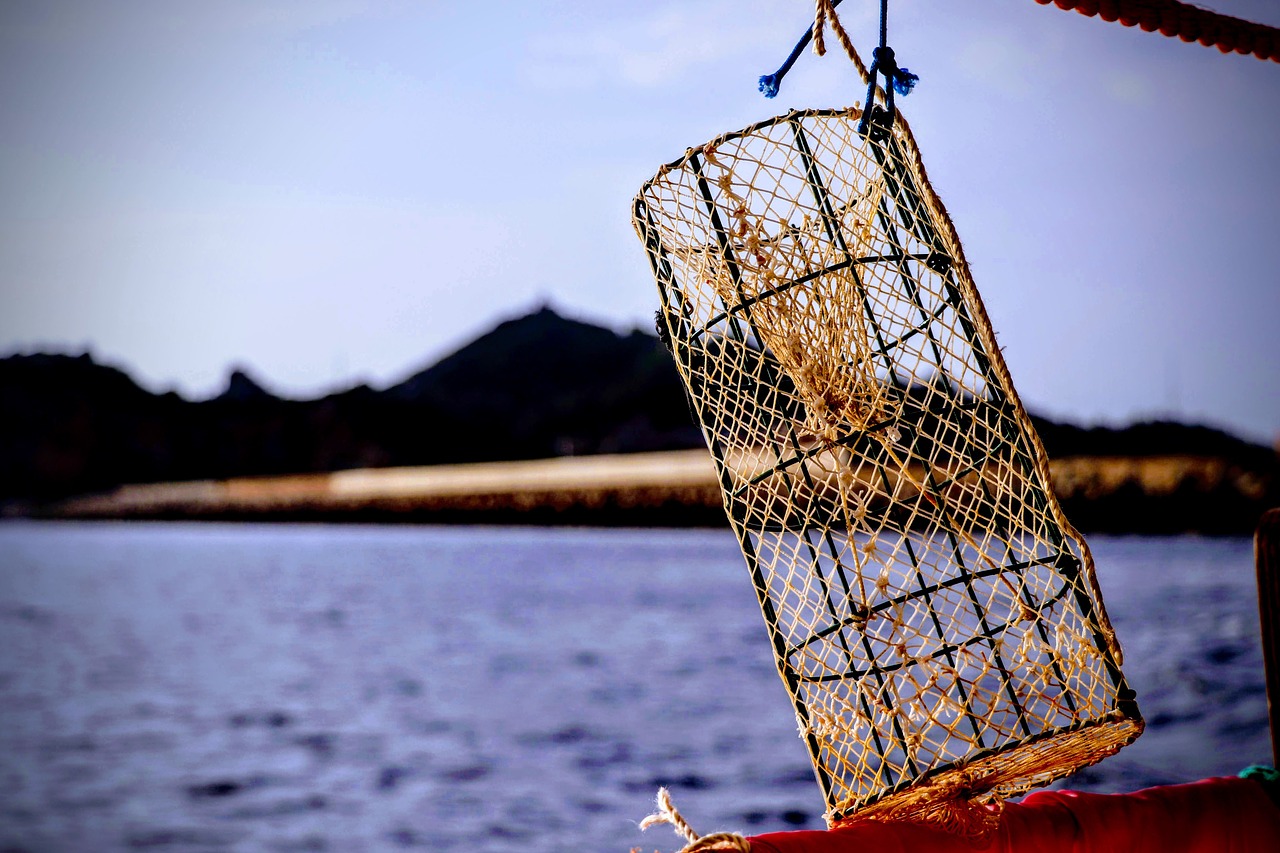 カニ網の禁止事項とカニかご漁法の楽しみ方 | 爆釣倶楽部